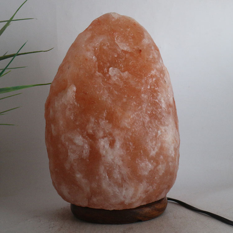Shiva™ Salt Lamp